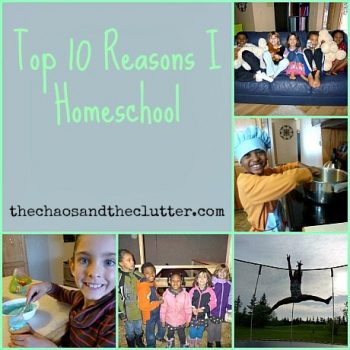 10 Reasons Why I Homeschool