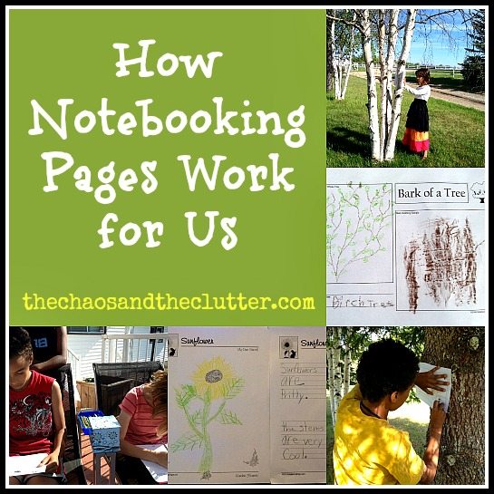 How We Use Notebooking Pages