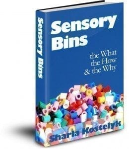 Sensory Bins Book