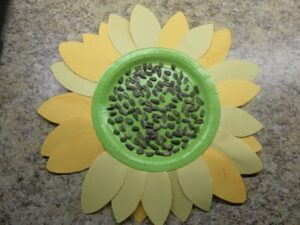 paper plate sunflower