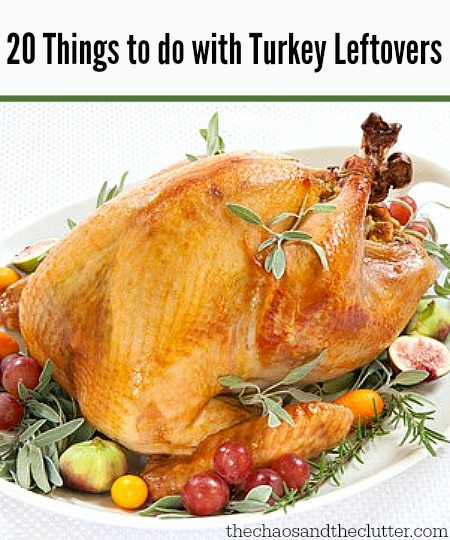 20 Things to do with Turkeys Leftovers (especially handy for after the holidays!)