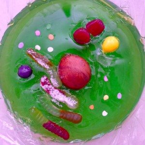 edible cell out of jello