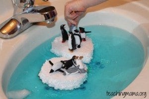 playing-with-penguins-1024x682