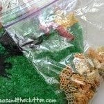 bug sensory bin in a bag