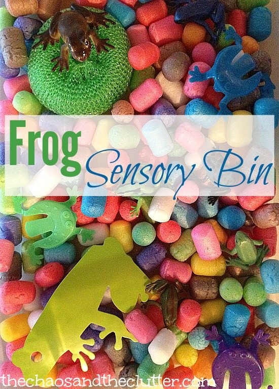 Frog Sensory Bin