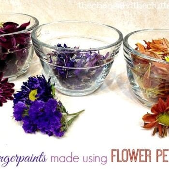 Homemade Fingerpaints made with Flower Petals