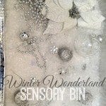 Winter Wonderland Sensory Bin