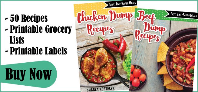 Chicken and Beef Dump Recipes
