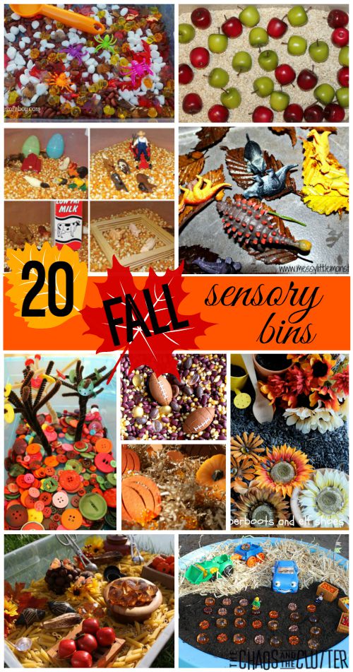 20 Fall Sensory Bins