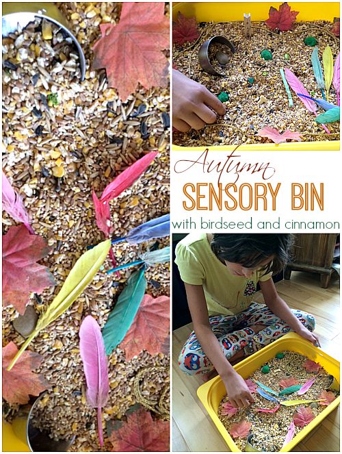 Autumn Sensory Bin with birdseed and cinnamon
