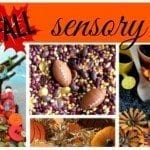 fall sensory bins