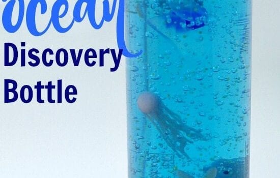 Ocean Discovery Bottle that keeps items suspended including the glow in the dark jellyfish and starfish