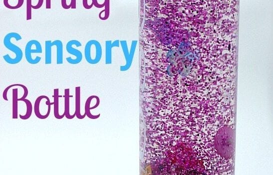 Spring Sensory Bottle with butterflies, flowers and bugs