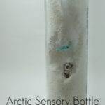 Bring a bit of the North home with this Arctic Sensory Bottle