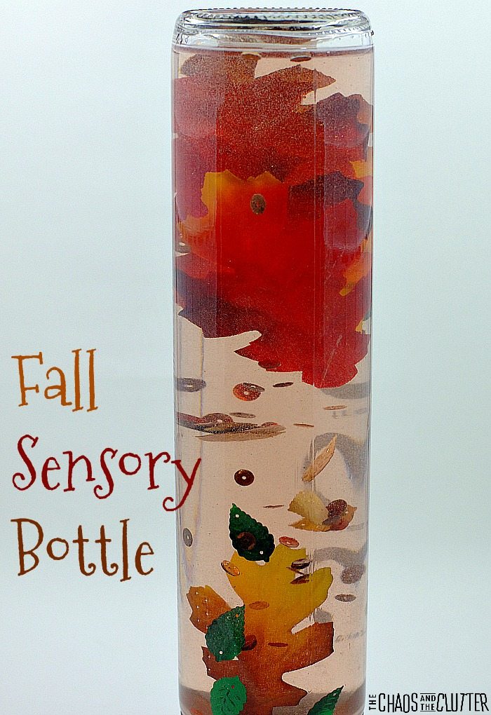 This Fall Sensory Bottle is lovely for discovery of the season and can be used as a calm down bottle as well.