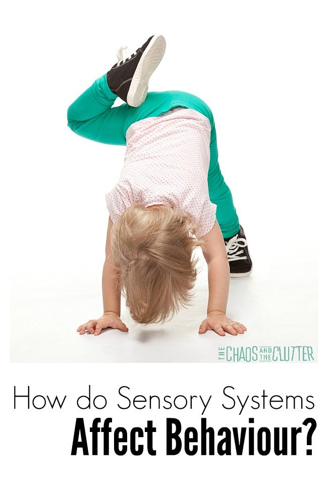 How is behaviour affected by your child's sensory systems?