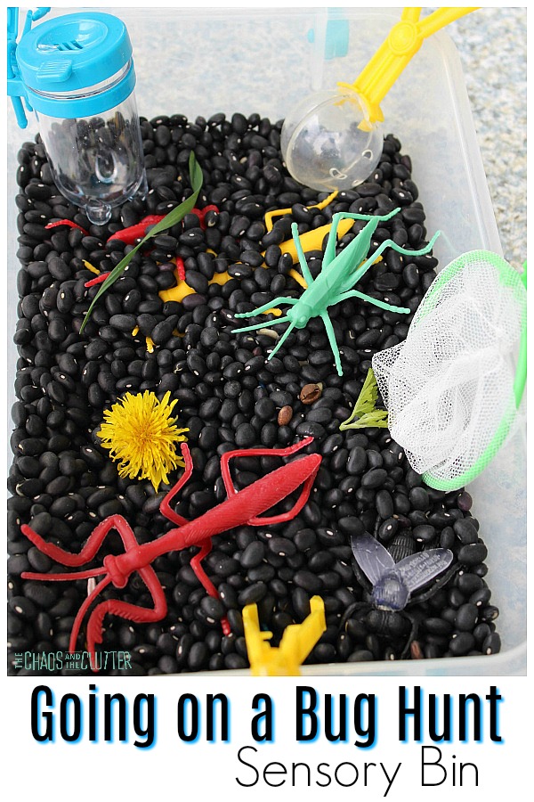 clear plastic bin filled with black beans, bug net, dandelions, bright coloured toy bugs, and bug container with blue lid