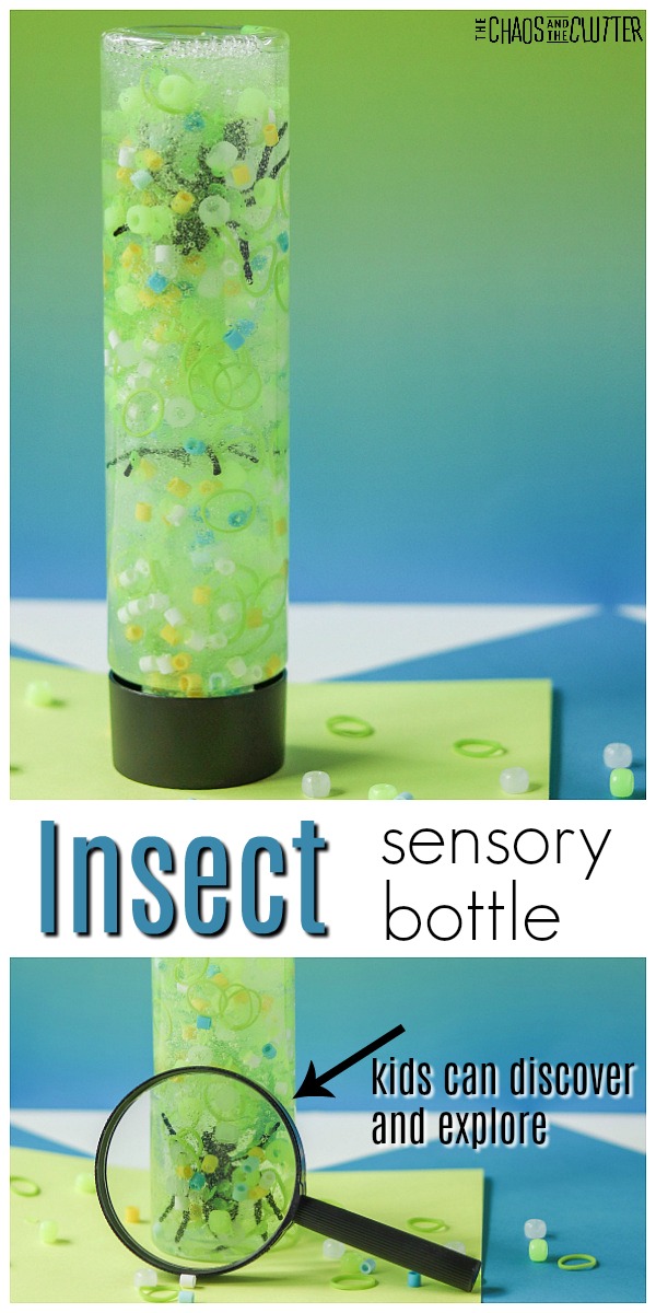 the top image shows a bottle filled with green and blue. In the bottom image, a magnifying glass shows a black plastic spider inside the bottle. The words "Insect sensory bottle" are in text. An arrow points to the bottle with the words "kids can discover and explore".