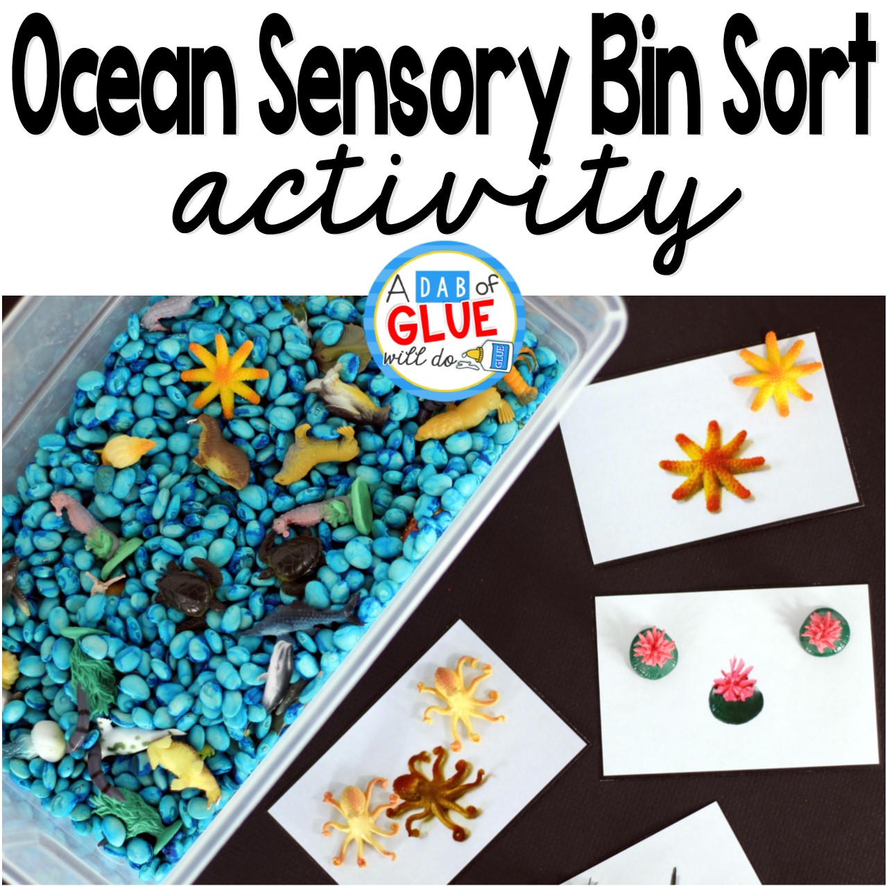 Ocean Sensory Bin Sorting Activity