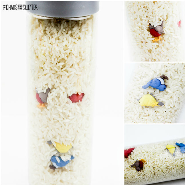 a collage of four photos of a clear bottle filled with white rice and colourful bird buttons