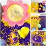 collage of photos of a yellow and purple Easter sensory bin